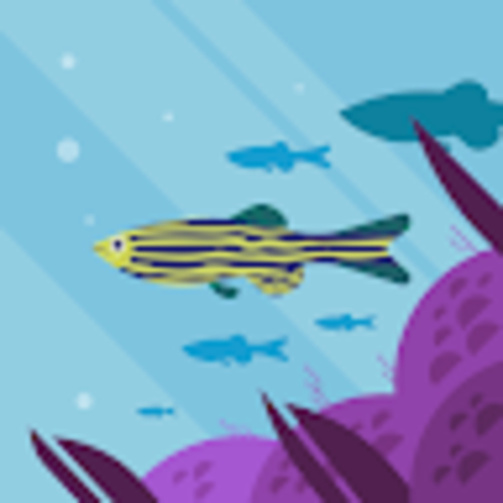 Meet your Posher, Noah